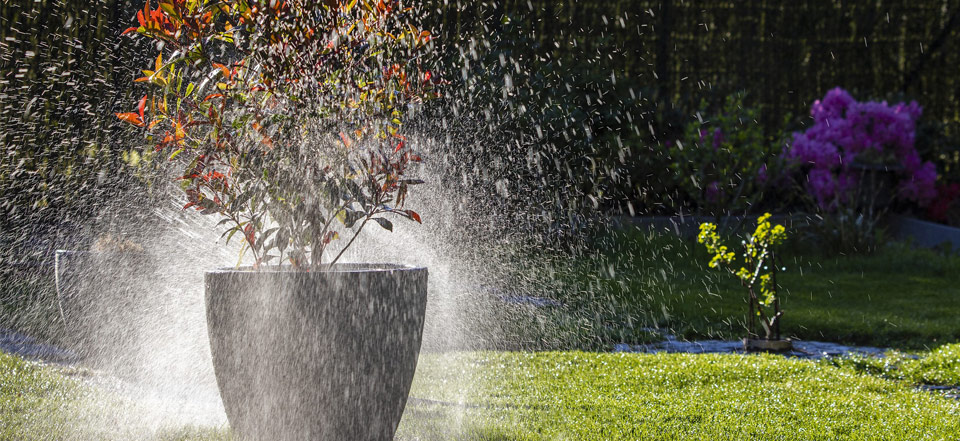 Arrosage écologique du jardin : top 8 des produits astucieux