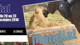 Mondial du Lion d'Angers