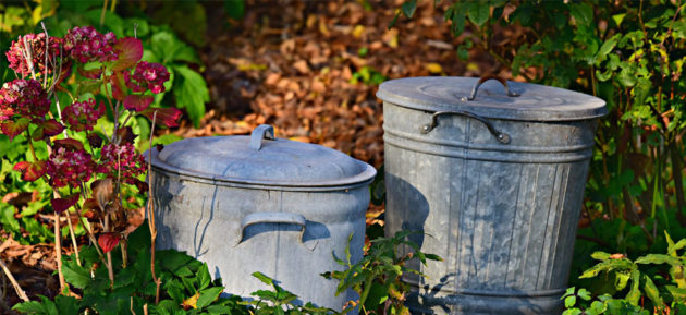 poubelles dans un espace vert