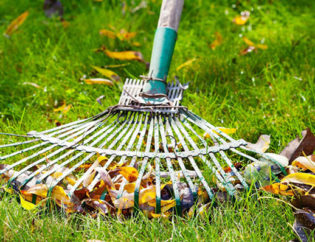 rateau dans un jardin avec feuilles mortes