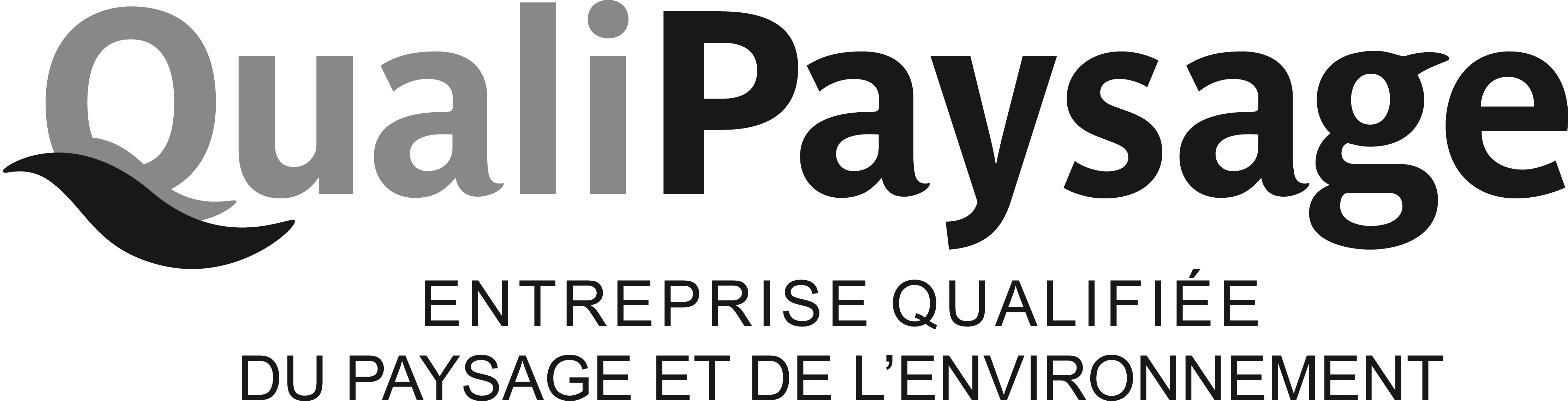 LOGO QP ENTREPRISE N-B