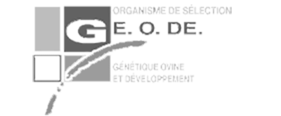 geode-logo