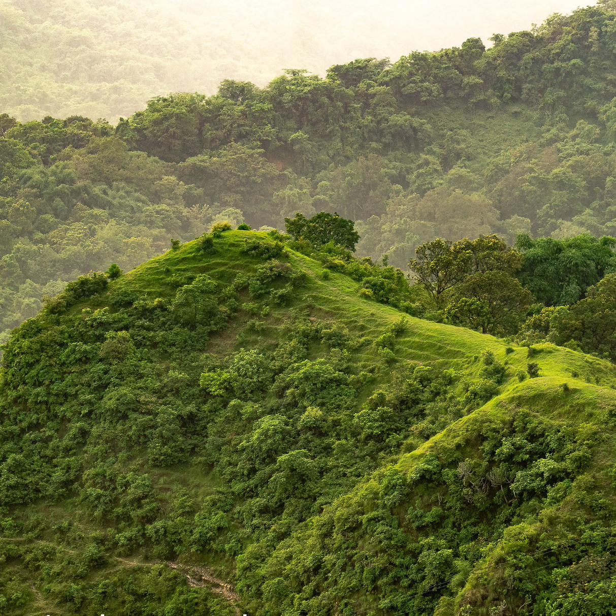 hill-g717f72275-carre